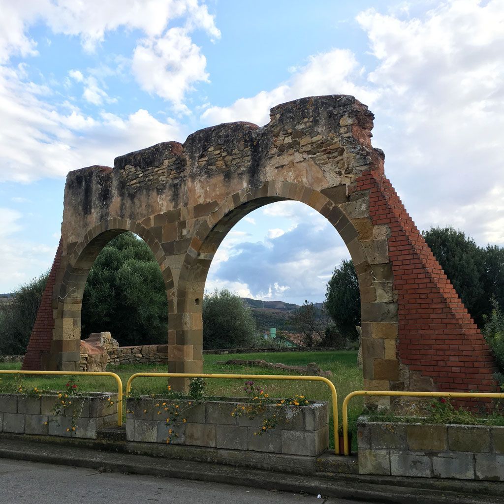 Gonnoscodina