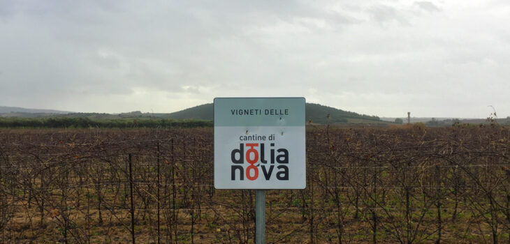 Dolianova