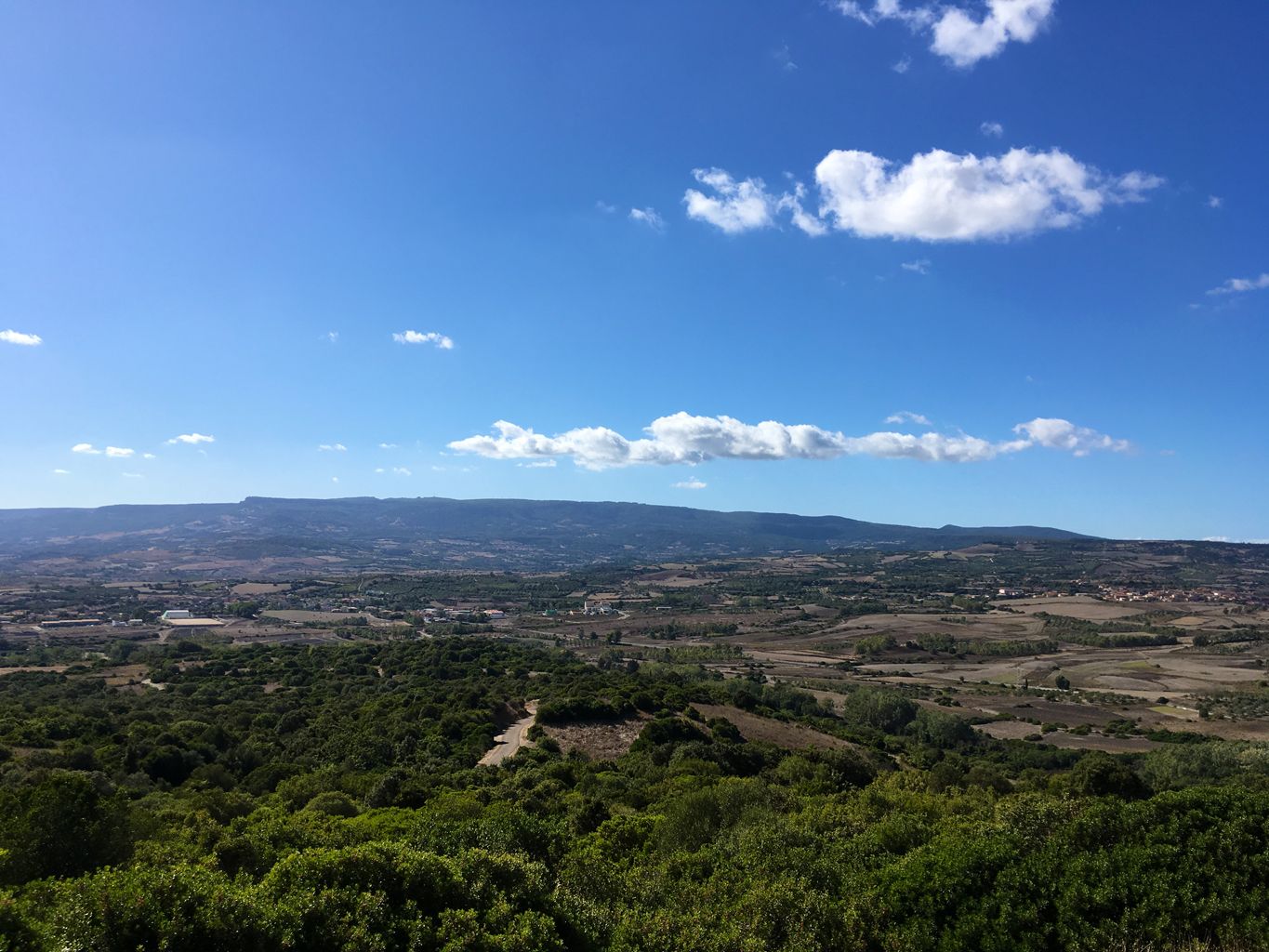 Albagiara